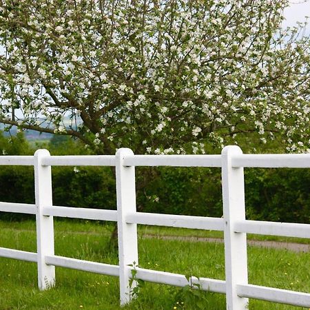 Palinges Le Haras Du Favry 아파트 외부 사진